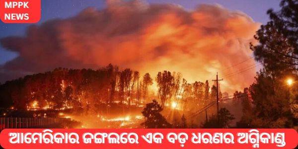 ଆମେରିକାର ଜଙ୍ଗଲରେ ଏକ ବଡ଼ ଧରଣର ଅଗ୍ନିକାଣ୍ଡ