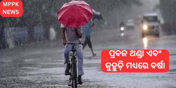 Rain amidst intense cold and fog